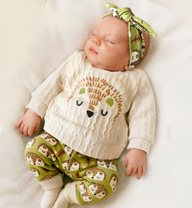 Conjunto Erizo