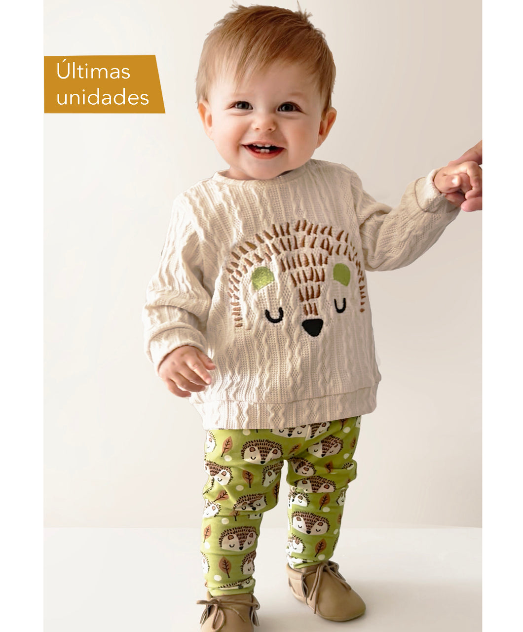 Conjunto Erizo